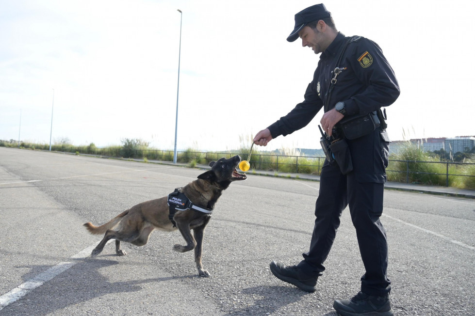 Perros policia @J Albores (19)