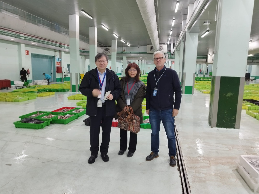 Investigadores de la Universidad de Tokio estudian el modelo de la Lonja de A Coruña