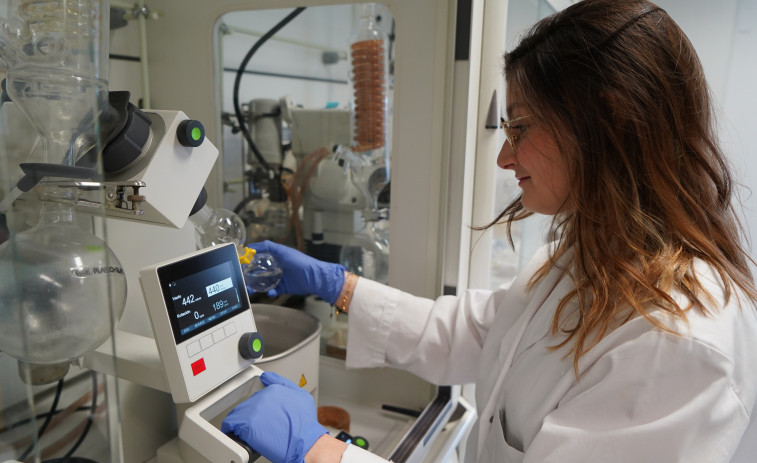 Una doctora de la UDC participa en una investigación sobre el uso del veneno de avispa como antibiótico