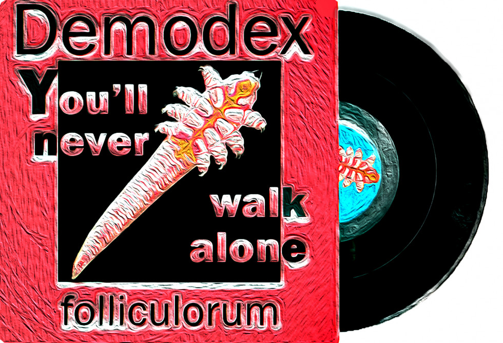 Demodex