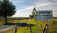 El BNG denuncia en la Eurocámara el proyecto de la celulosa Altri