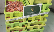 Investigados en A Coruña por capturar 145 kilos de cigalas y 74 de pota en zona prohibida