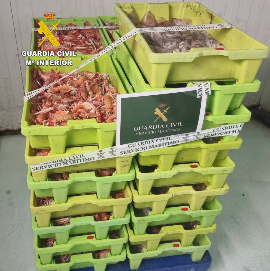 Investigados en A Coruña por capturar 145 kilos de cigalas y 74 de pota en zona prohibida