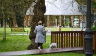 Arteixo creará un parque para los más de 8.000 perros que tiene registrados