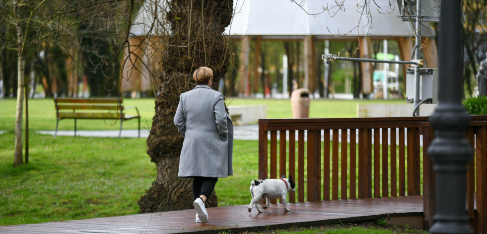 Arteixo quiere crear su primer parque canino en O Seixedo