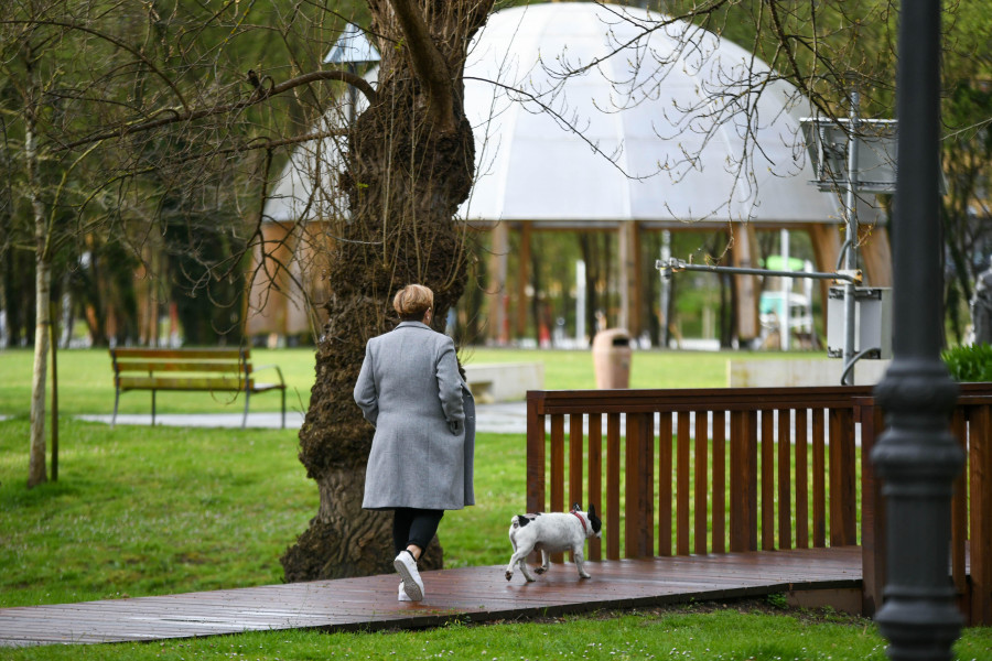 Arteixo creará un parque para los más de 8.000 perros que tiene registrados