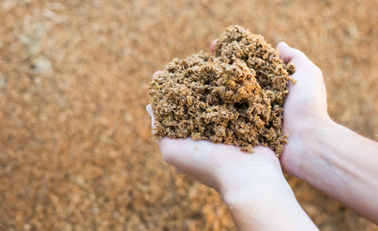 Hijos de Rivera y Blendhub avanzan hacia la alimentación del futuro con ImpacTaste