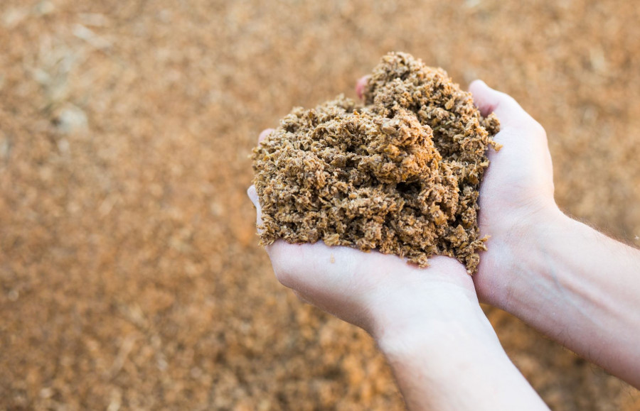 Hijos de Rivera y Blendhub avanzan hacia la alimentación del futuro con ImpacTaste