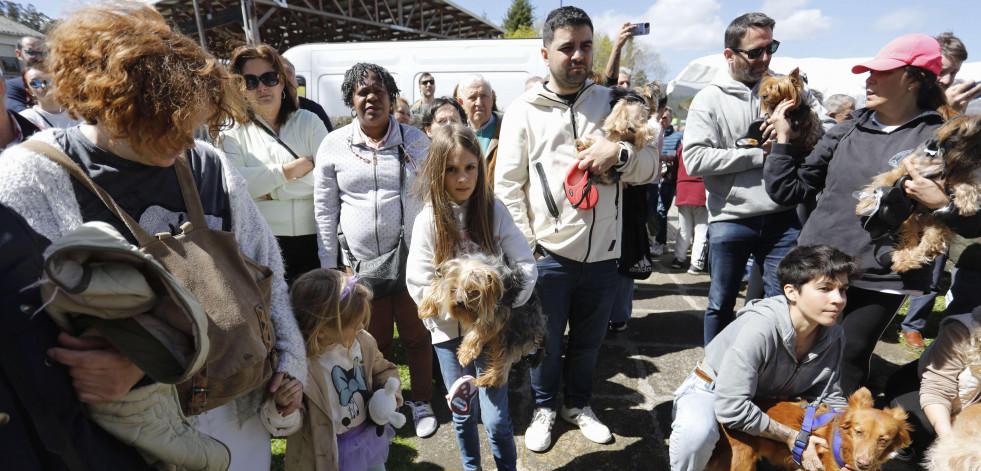 La fiesta de San Outelo en Celas es de nuevo un homenaje al más fiel amigo del hombre