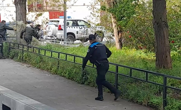 Vuelven los jabalíes a A Coruña: dos animales se pasean por la mañana por el colegio Alborada