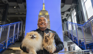 César Millán cree que el ser humano debe aprender de la lealtad y el amor de los perros
