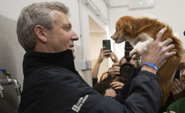 La Xunta estima que las ayudas para gastos veterinarios permitirán adoptar mil animales