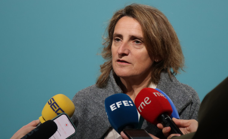 Ribera dice que en el PSOE pueden ser 