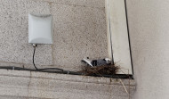Las nuevas inquilinas del palacio municipal de María Pita