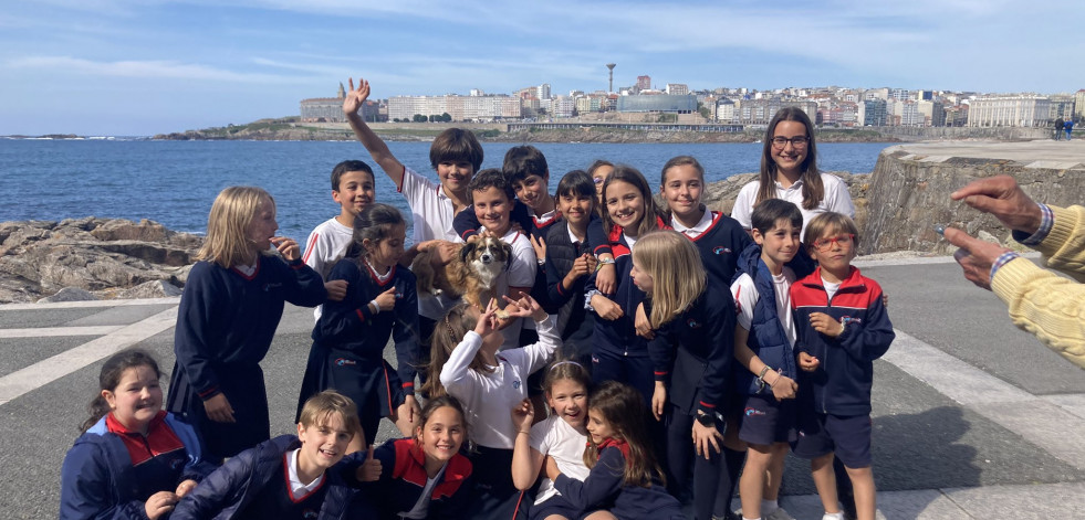 Twitter hizo su magia en A Coruña: los alumnos de las Esclavas encontraron a la perrita Lúa