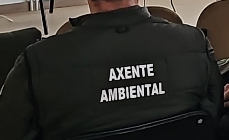 Identifican al autor de un fuego intencionado producido en Arteixo