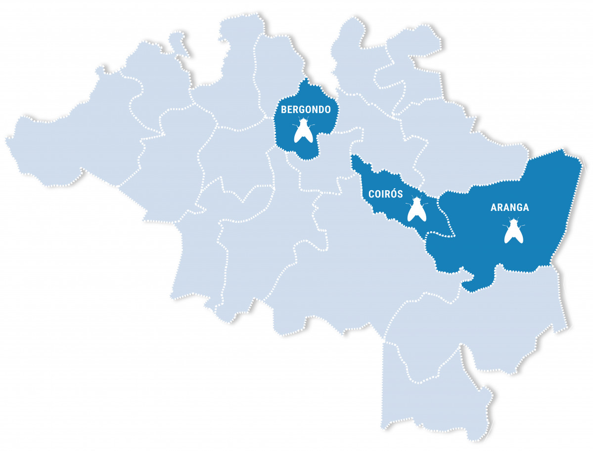 Mapa moscas en galicia