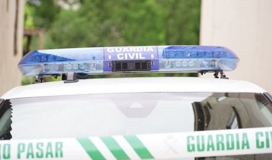 Dos hombres investigados en Melide por varios delitos de abandono y maltrato animal