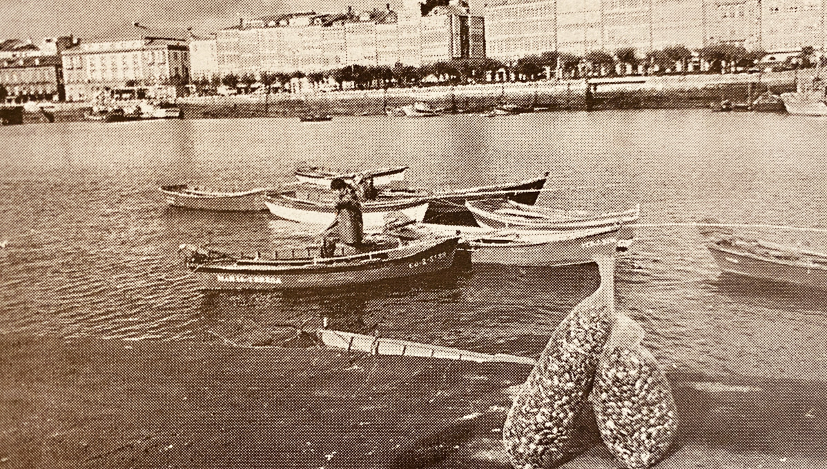 Marisco en O Parrote