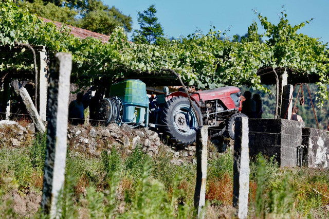 TractoraccidentemuertoRibadumia