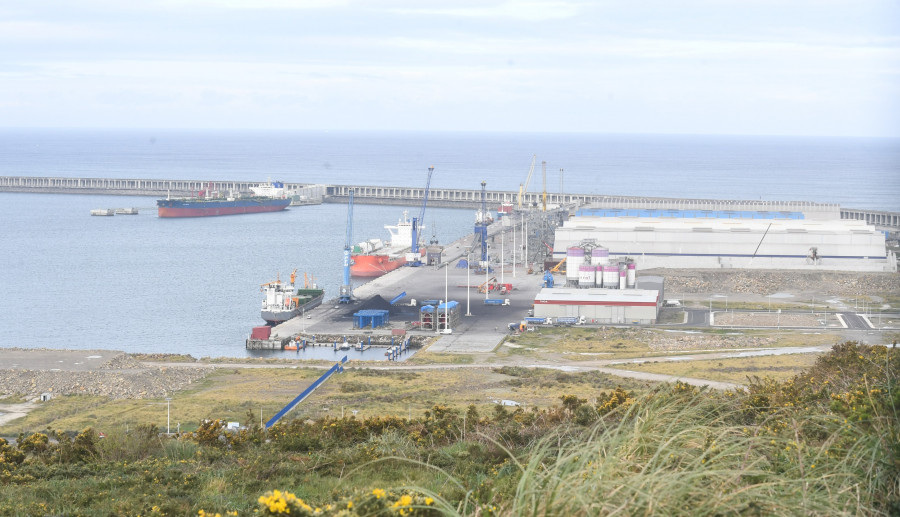El plan en el puerto de A Coruña de uno de los grandes proveedores de Estrella Galicia: 121 millones en una primera fase