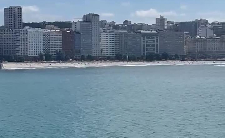 Los delfines sorprenden a los coruñeses en Matadero