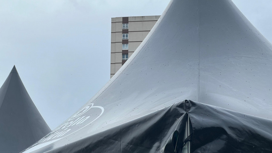 Una nube de hormigas voladoras aterriza en el Atlantic Pride de A Coruña