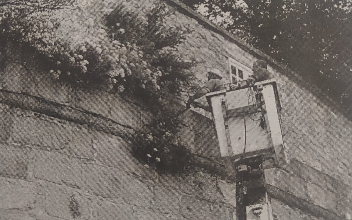 Muralla del parrote 1999