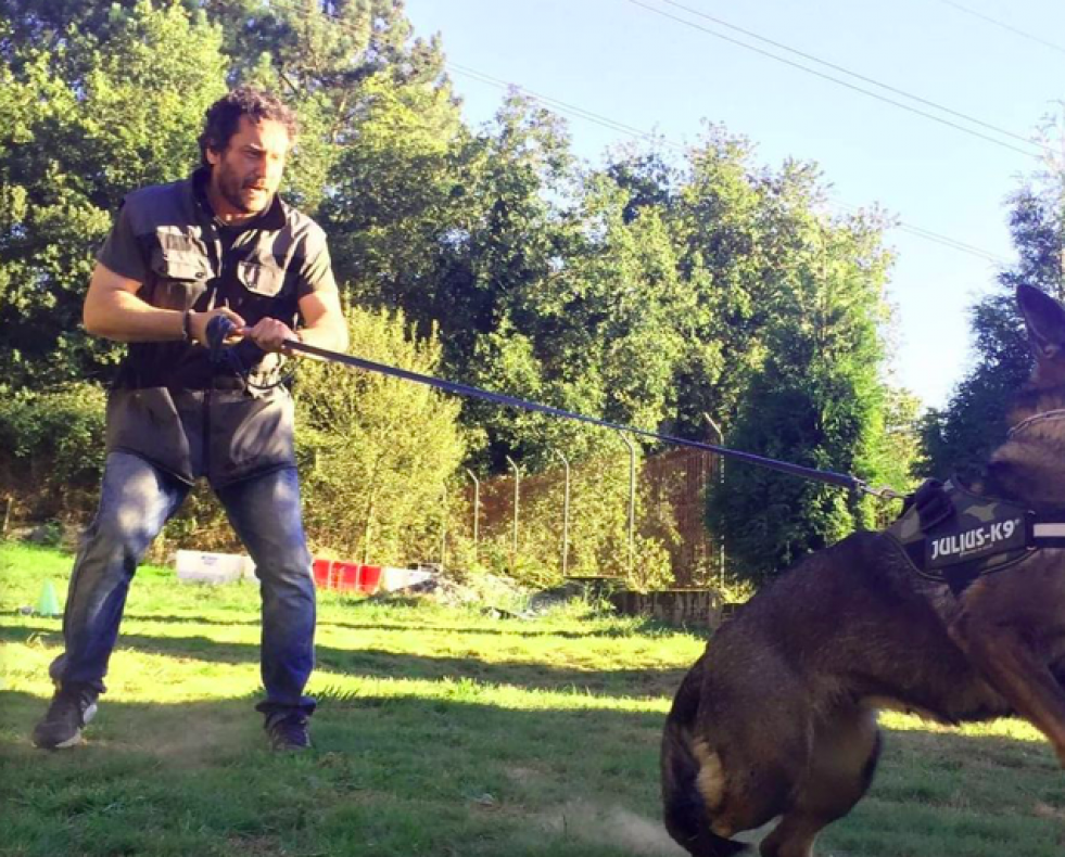 Adiestramiento canino en Eloa K9