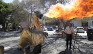 A Gaiteira vive sus fiestas a fuego: un dragón recorre sus calles en  el comienzo de las celebraciones
