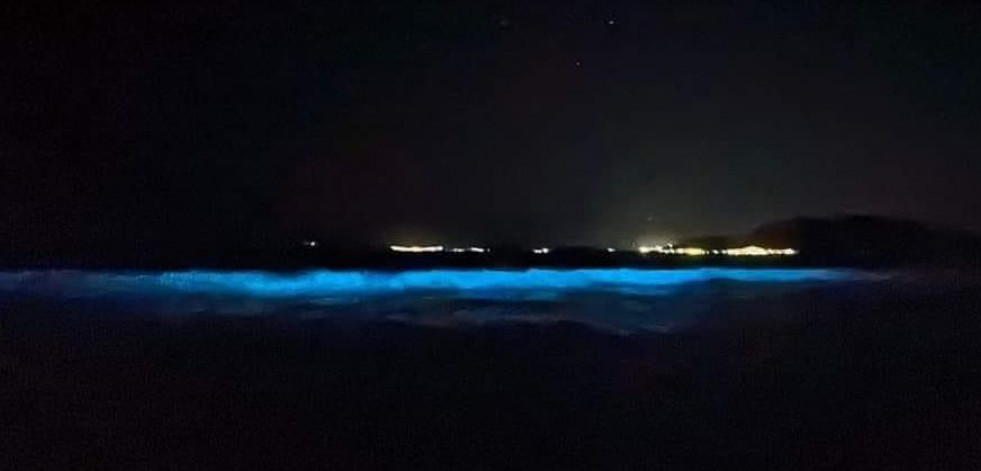 Mar de ardora o bioluminiscencia: ¿qué es y dónde ver el fenómeno natural más viral de este verano?