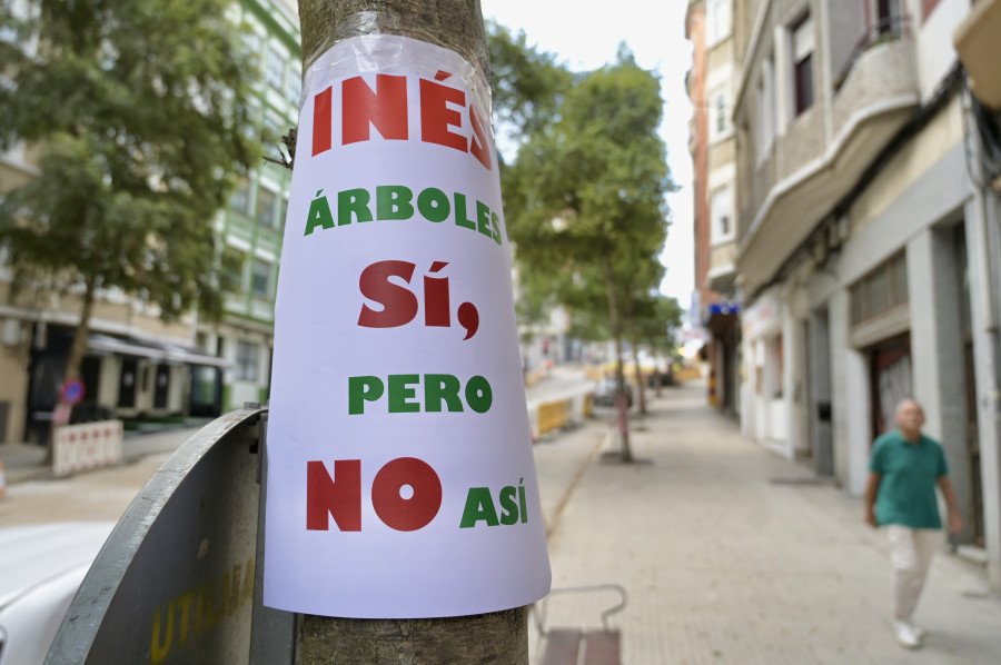 A Falperra de A Coruña amanece empapelada: "Inés, árboles sí, pero no así"