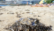 Las carabelas portuguesas obligan a suspender la travesía de San Amaro