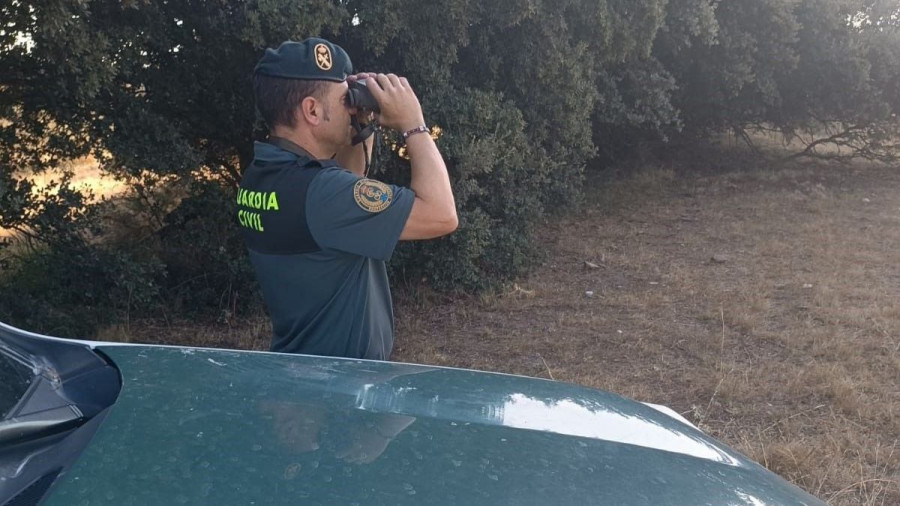 Detenido un vecino de Arteixo cuando disparaba a un jabalí con una escopeta