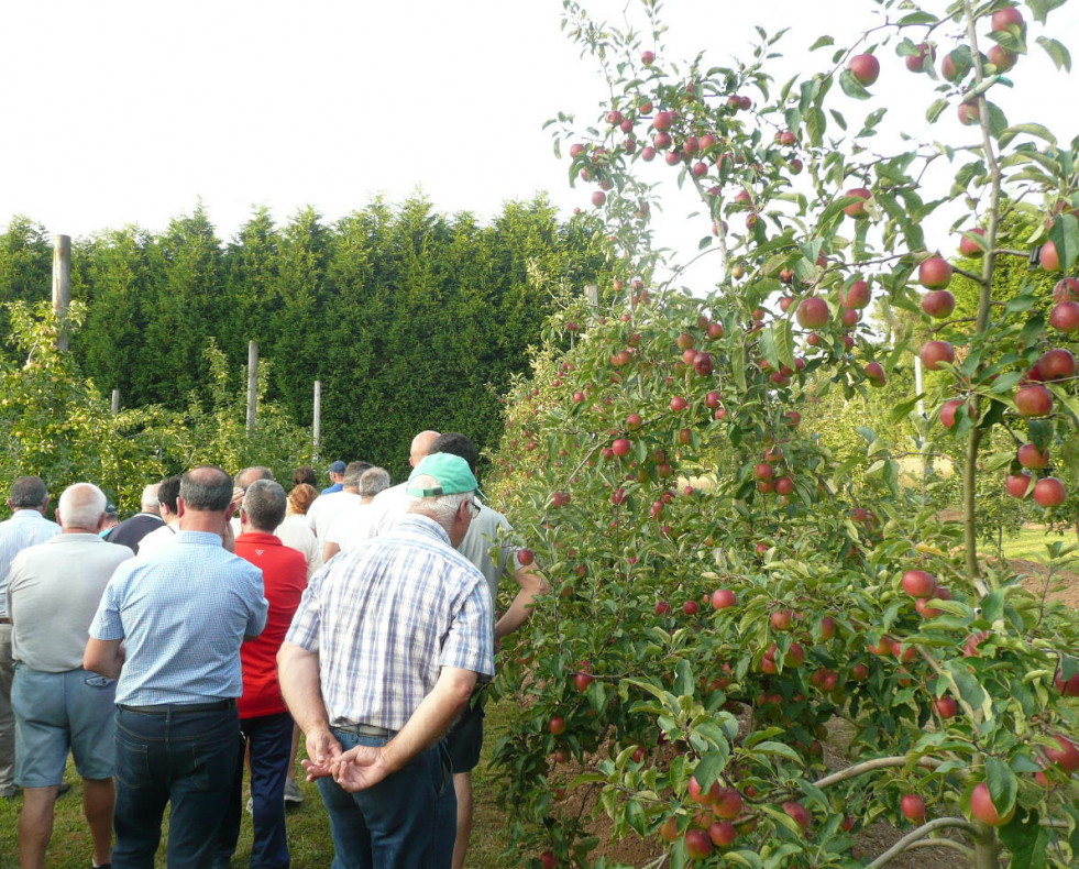 Árboles frutales