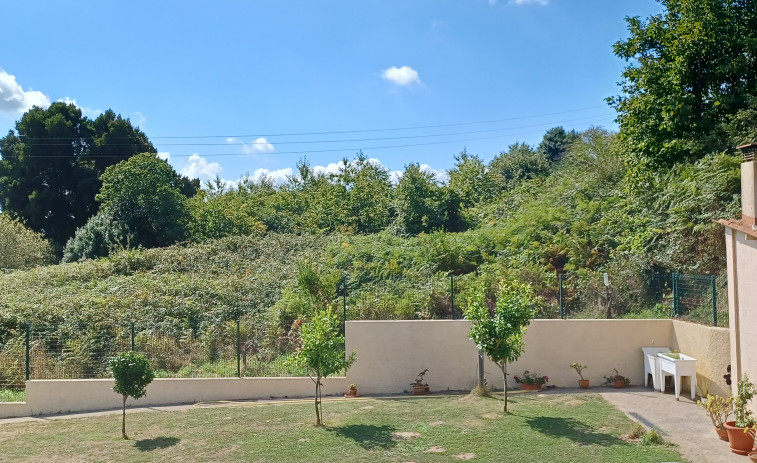 Casi siete años de escritos, trámites y denuncias para no verse ‘engullidos’ por la maleza en Betanzos