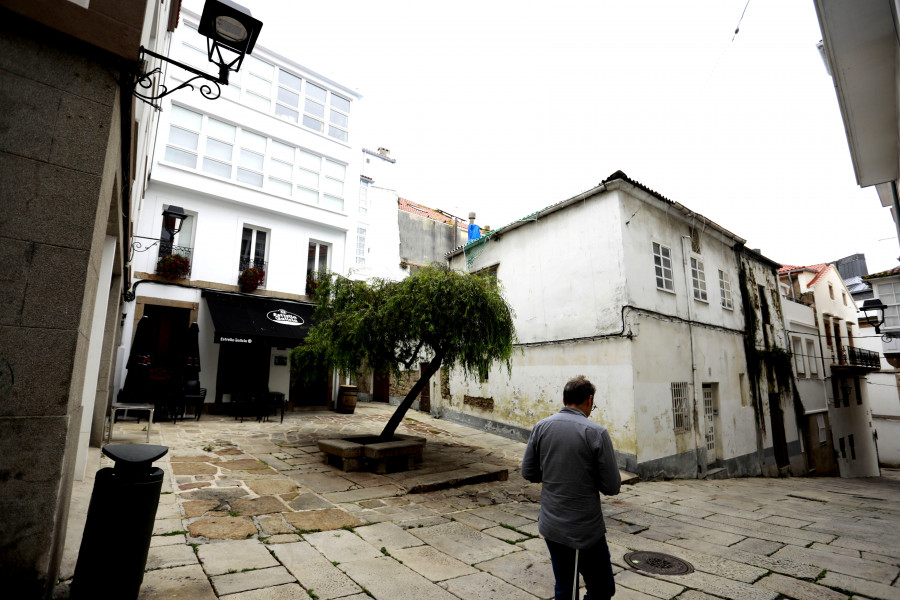A historia da árbore da praciña do salgueiro