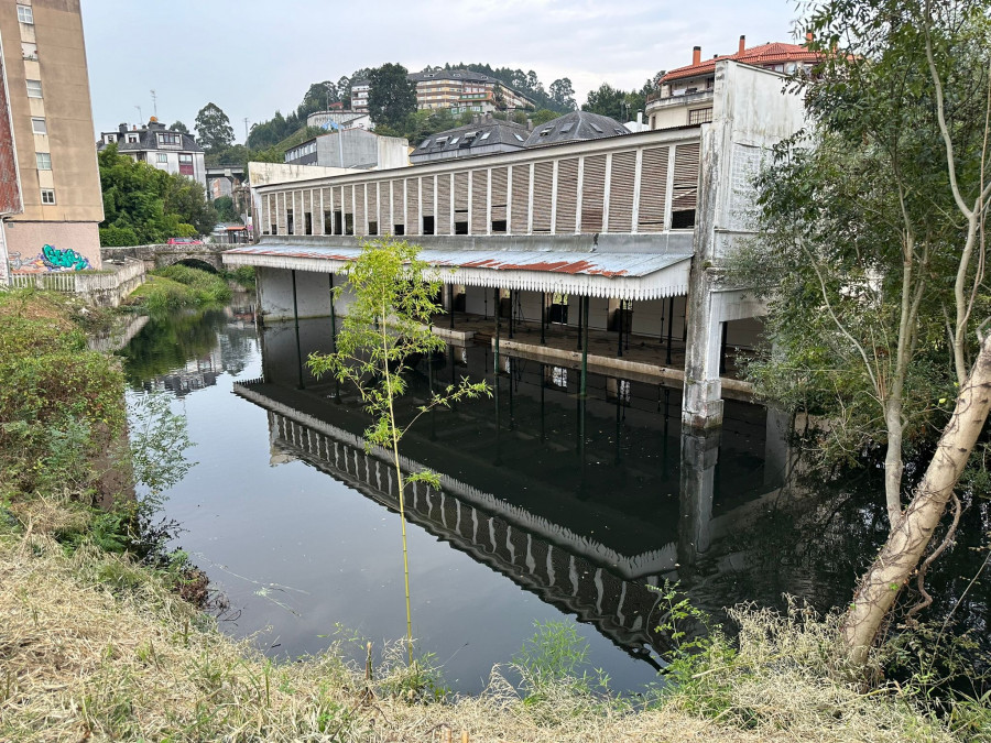 Con sacos, carteles y comunicación a la central del Zarzo: así trataron de evitar los daños de las ‘lagarteiras’ en Betanzos