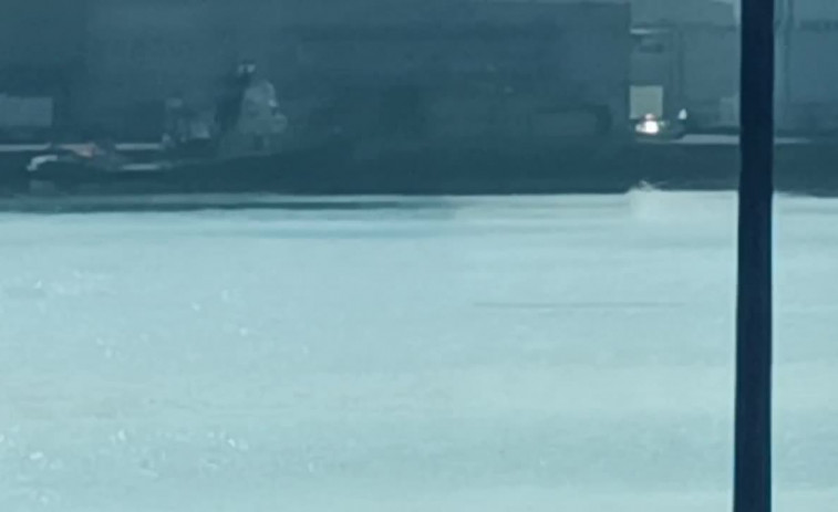 Un grupo de delfines visita el Puerto de A Coruña