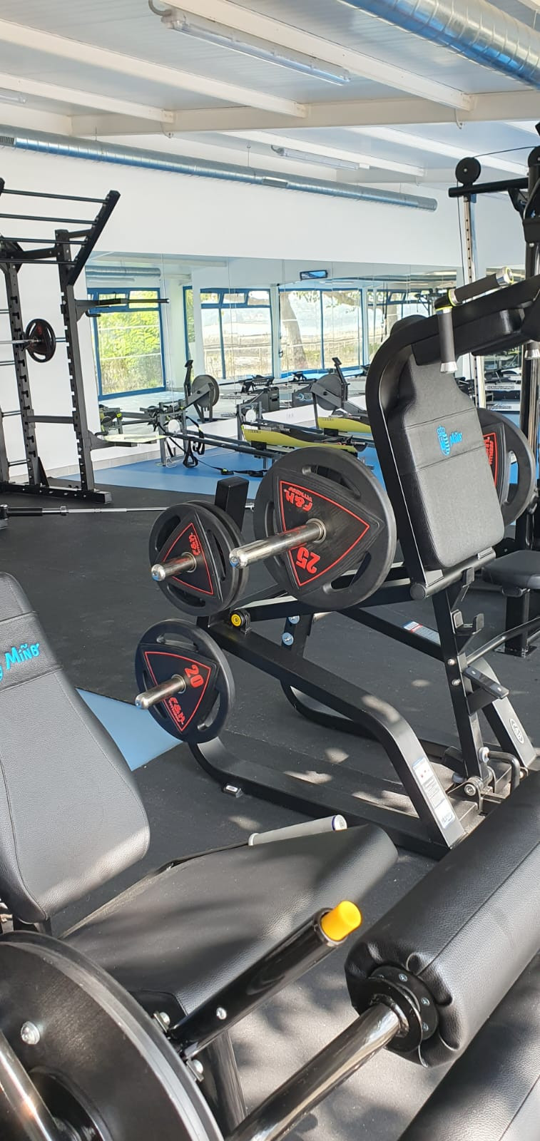 GIMNASIO (4)