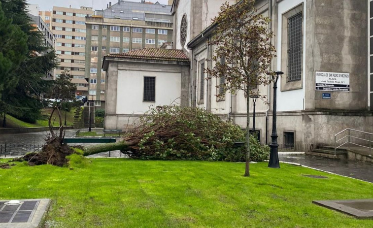 Grandes retenciones y árboles caídos,  efectos del paso de Kirk por A Coruña
