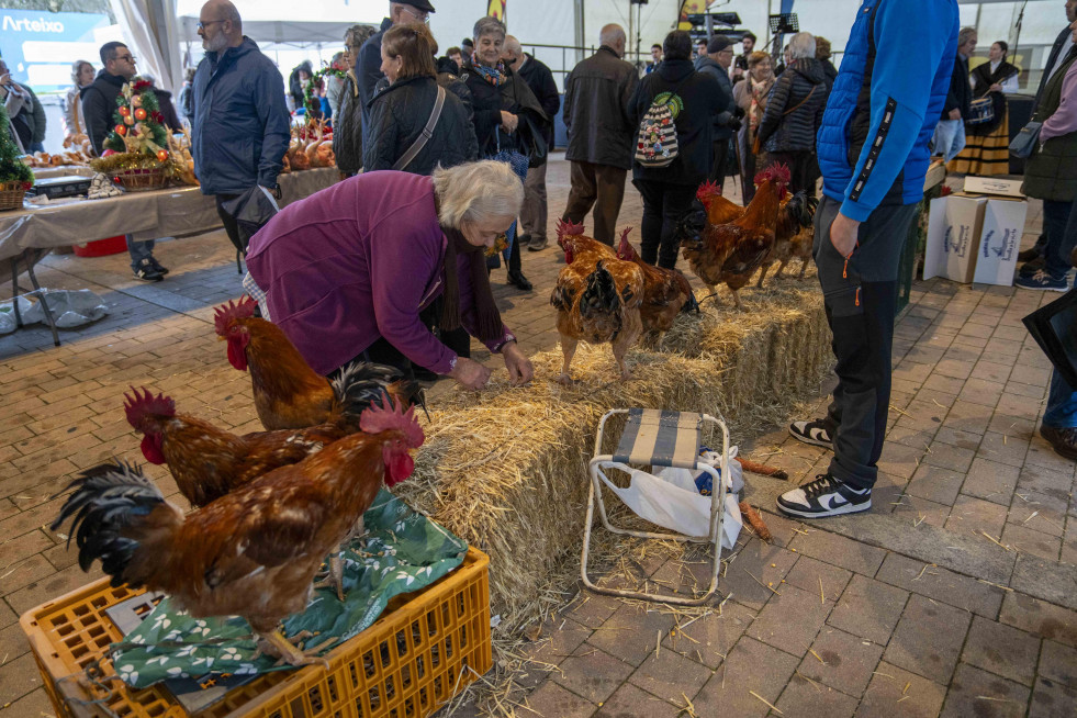 Feira do galo arteixo