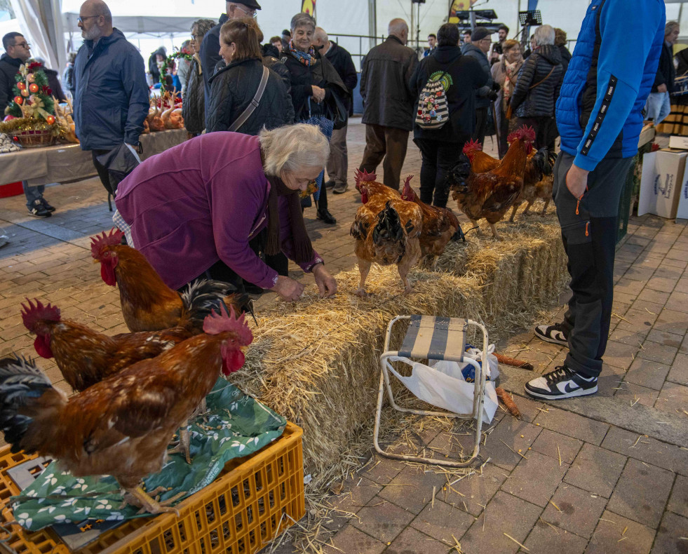 Feira do galo arteixo