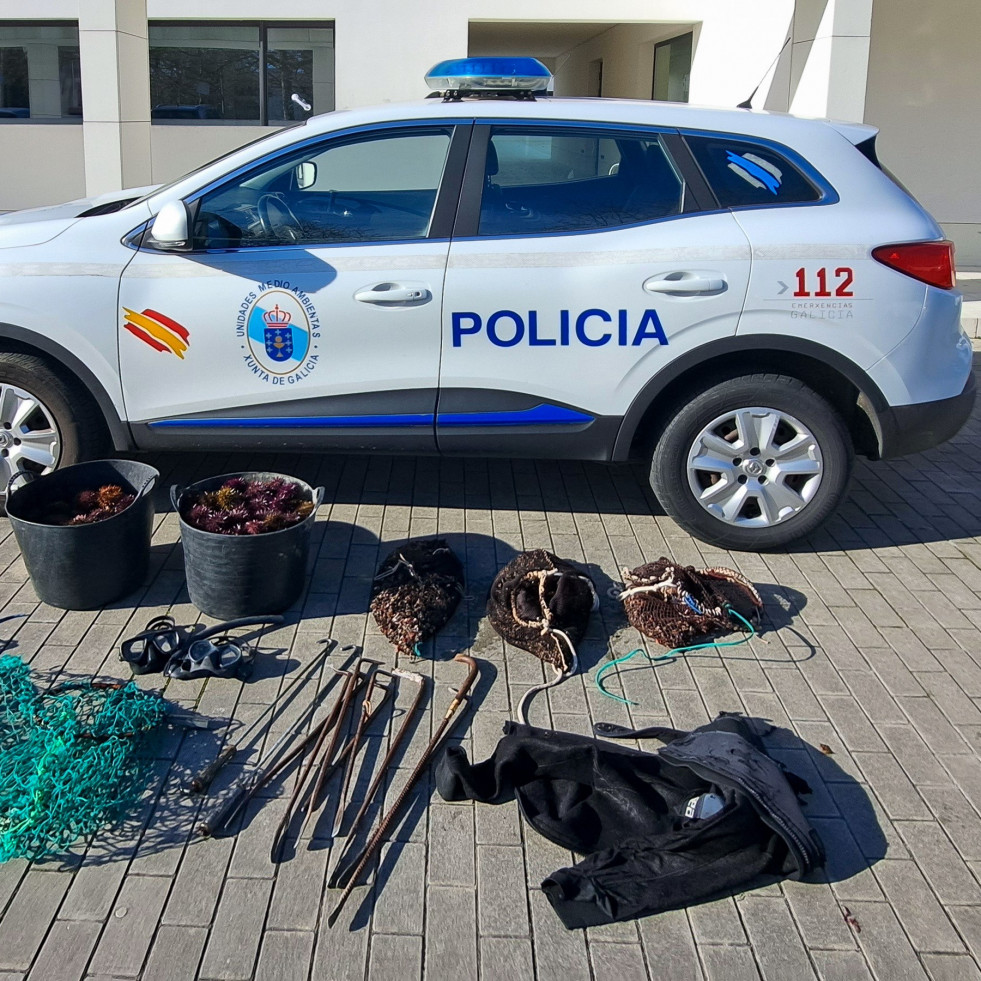 Identificados 17 furtivos en A Coruña en lo que va de año con percebes ilegales