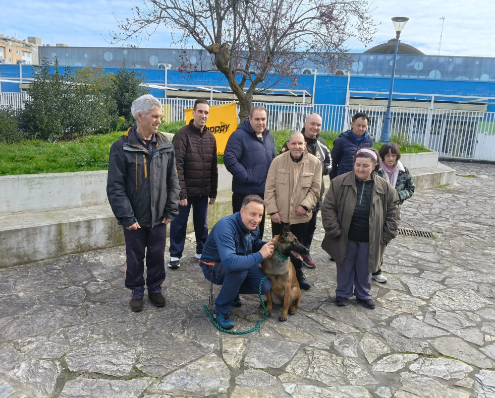 A escada perros