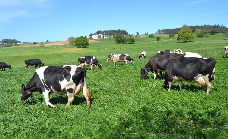 Novedades en la PAC 2025: apoyo a nuevos productores ecológicos y flexibilización en la rotación de cultivos