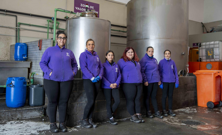 Las Mulleres Colleiteiras cumplen diez años de proyecto con su futuro en juego