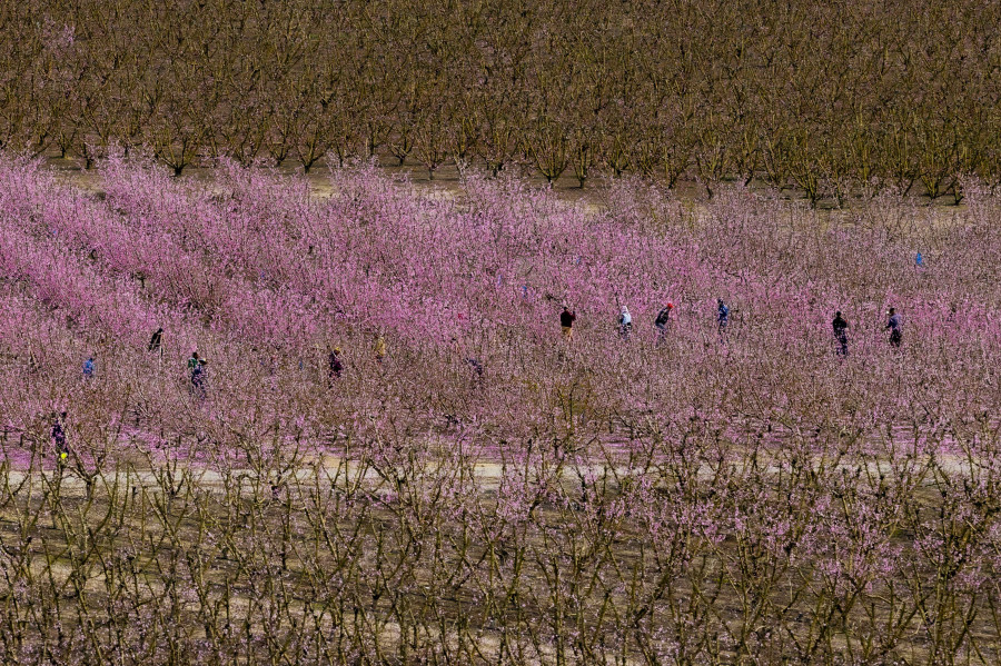 El cambio climático amenaza las reservas de aguas subterráneas en la Península Ibérica