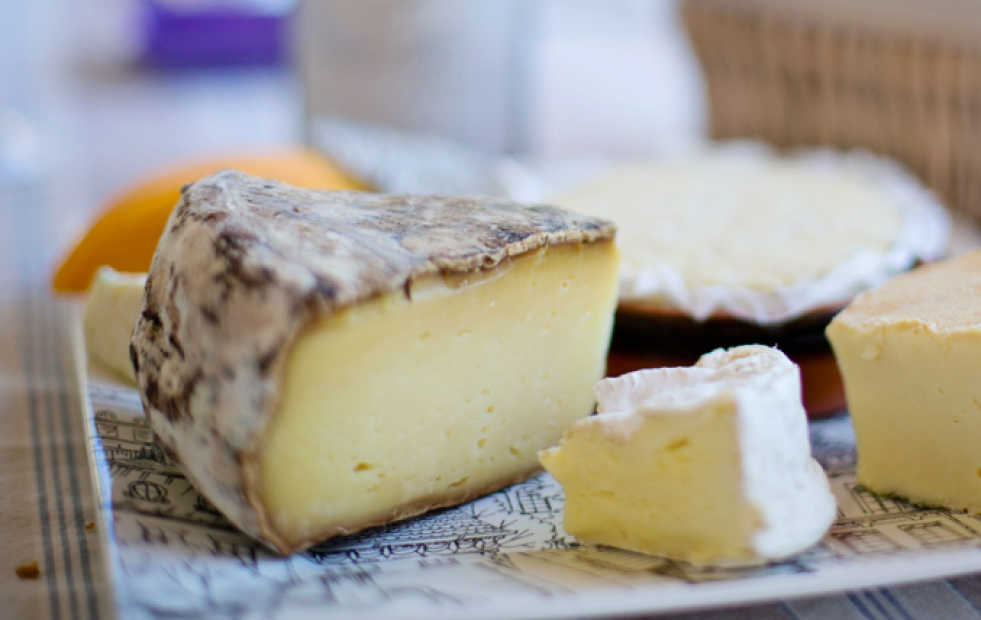 Celebra el Día Mundial del Queso: un homenaje a la versatilidad y al sabor de este alimento