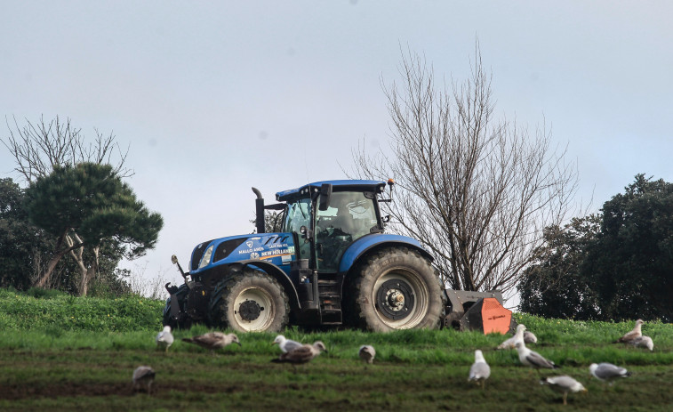O número de explotacións agrícolas en Galicia descendeu un 45,7% entre 2016 e 2023